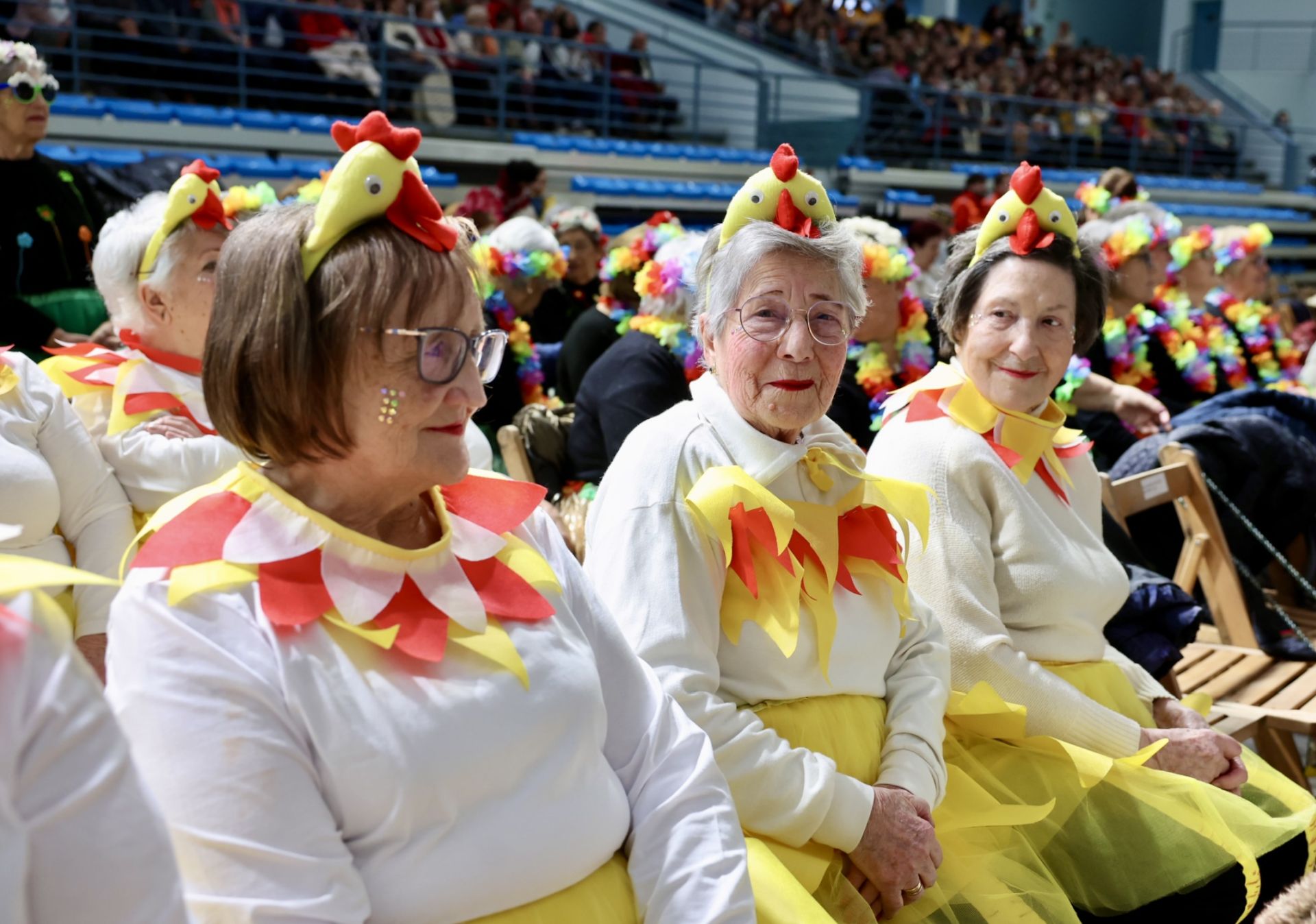 Los mayores celebran el Carnaval con una fiesta de disfraces en el Polideportivo Las Gaunas