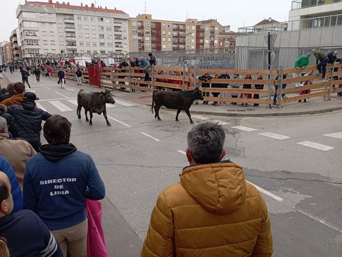 Vaca va, vaca viene