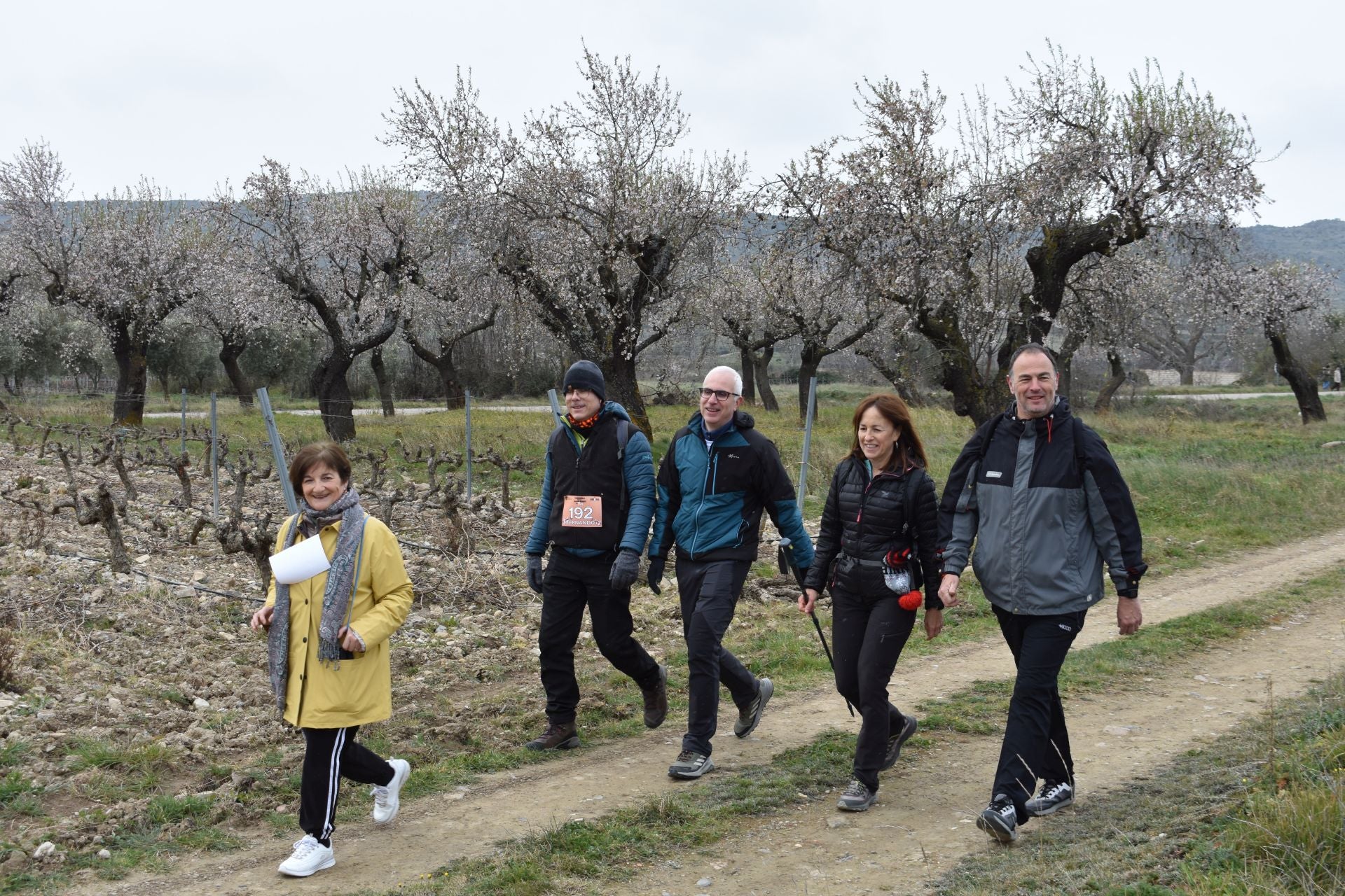 La carrera de los almendros en flor, en imágenes