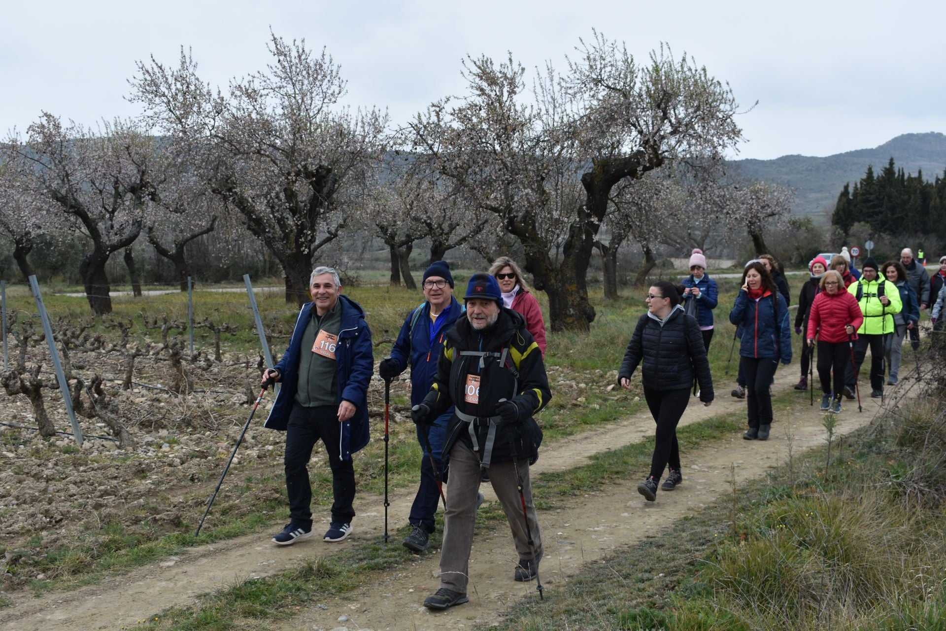 La carrera de los almendros en flor, en imágenes