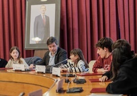 Pleno especial en el Ayuntamiento de Logroño.