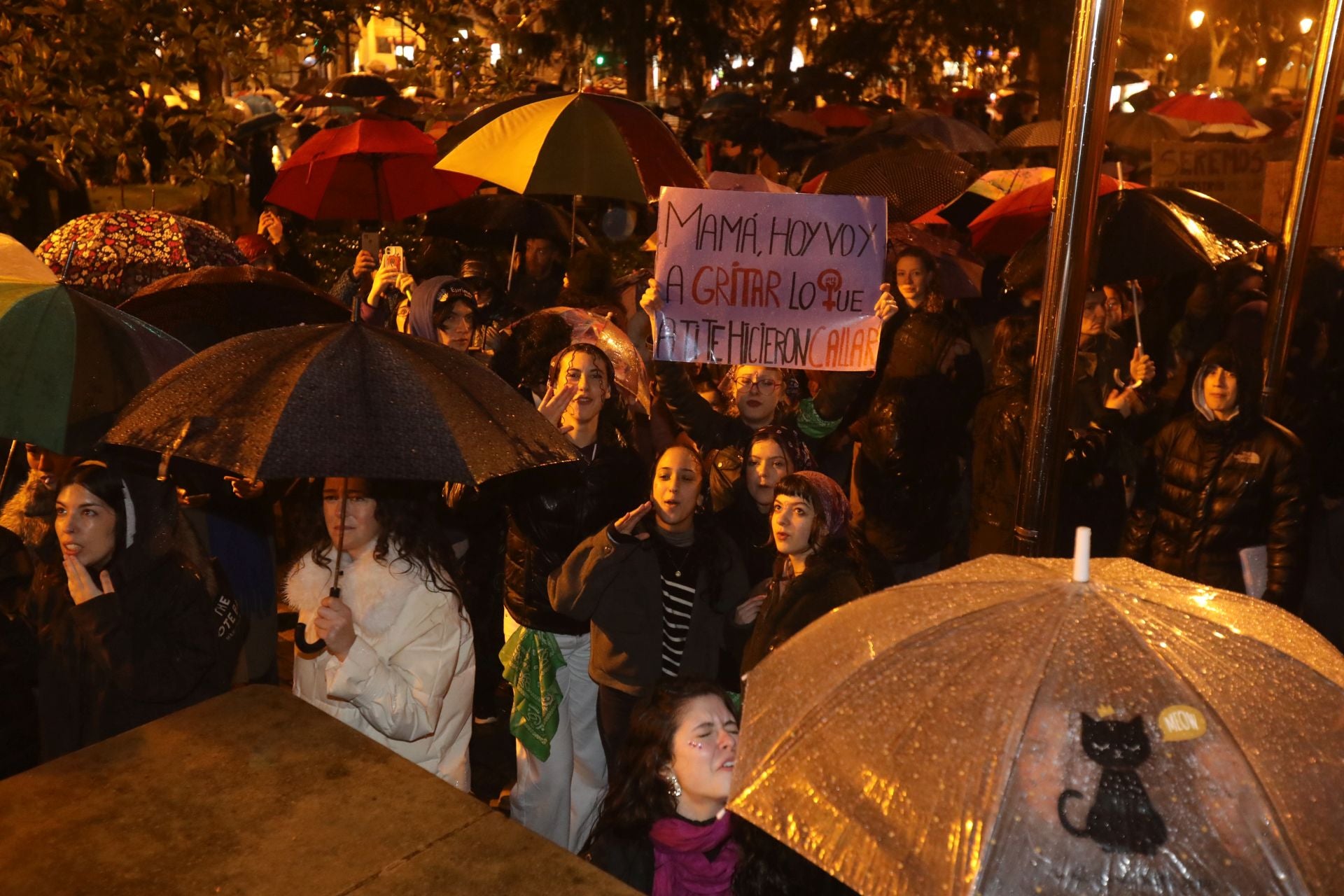Las imágenes de la celebración del 8M en Logroño