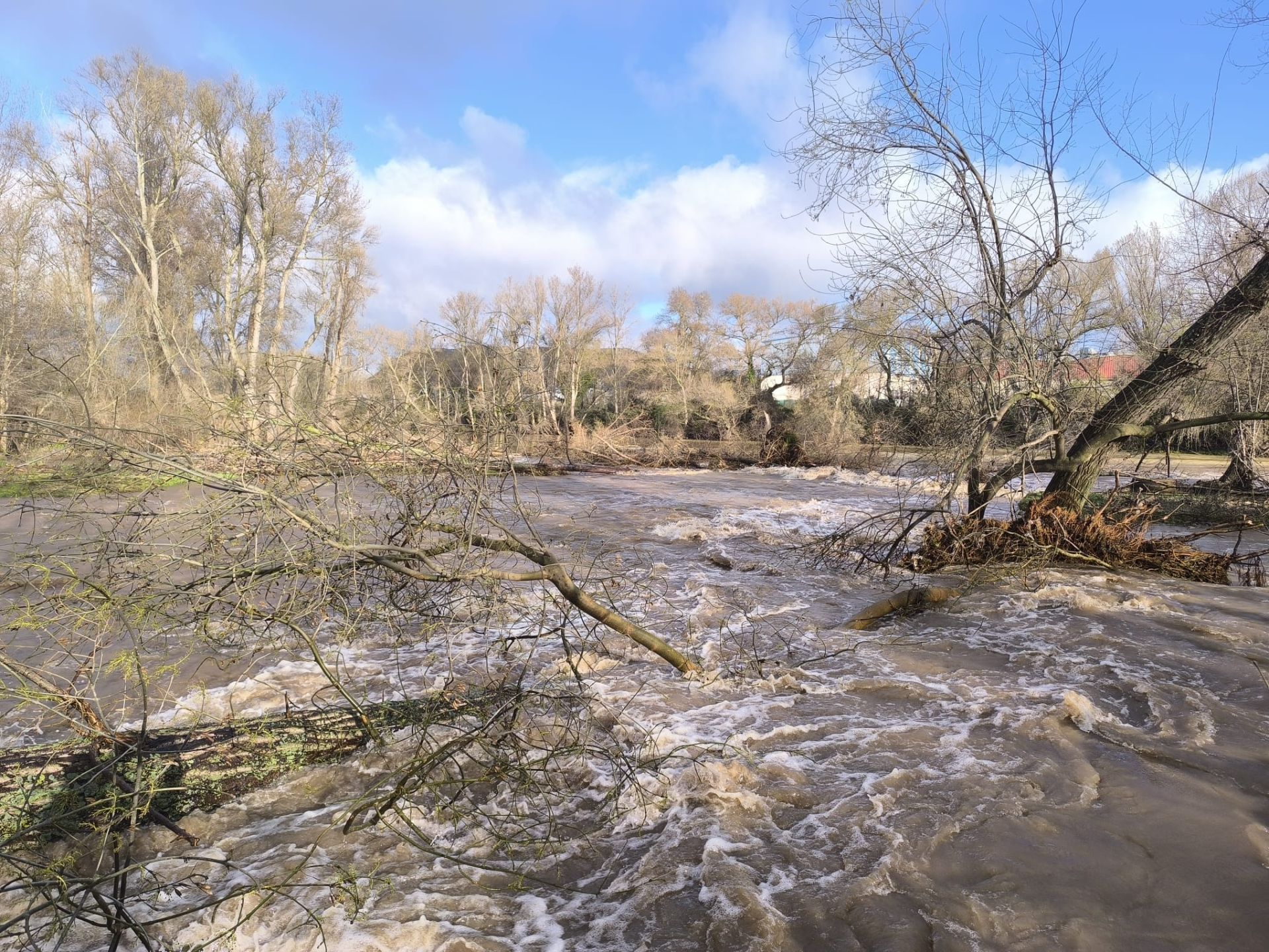 El río Iregua, muy crecido en su desembocadura en el Ebro