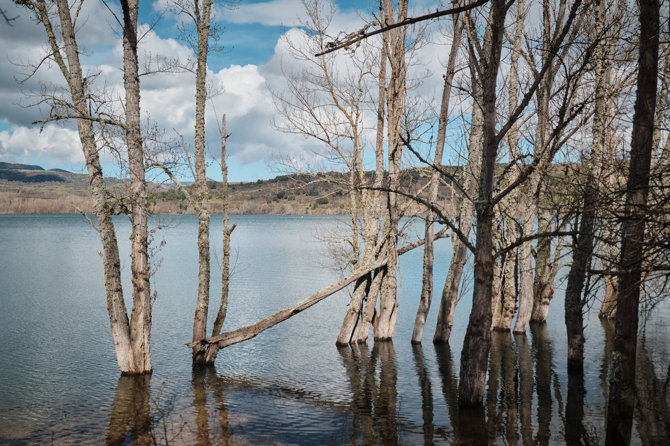 El caudal del Iregua, en máximos
