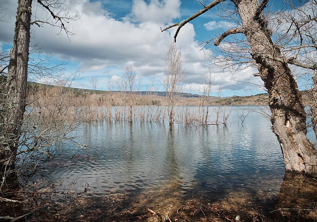 ¿Cómo actuó la CHE para frenar la avenida en el Iregua?