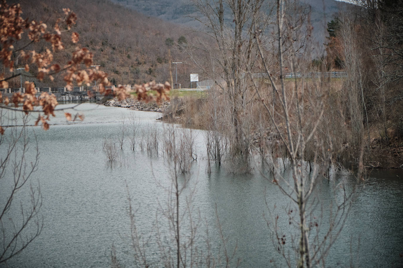 El caudal del Iregua, en máximos