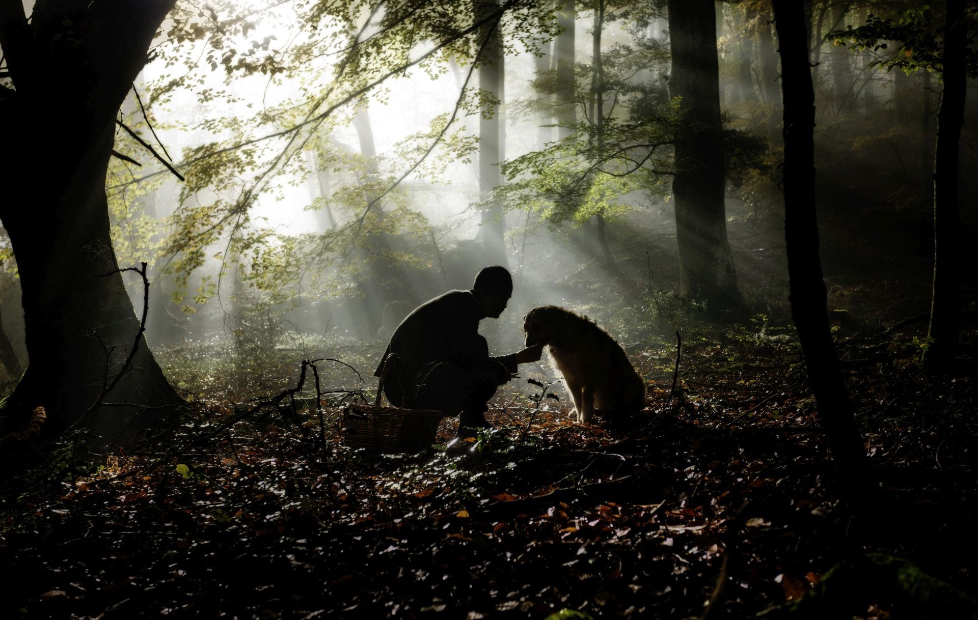Premio El ser humano en la naturaleza