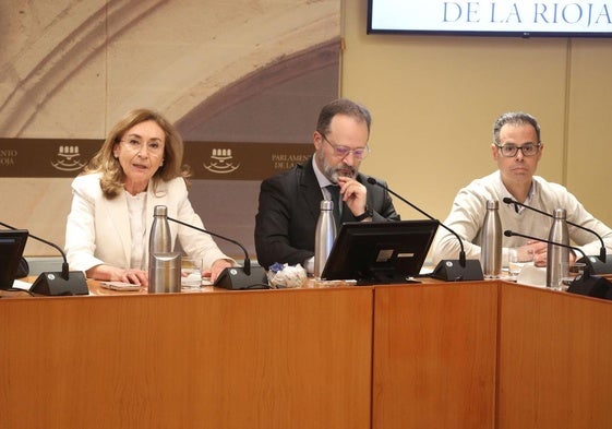 La consejera de Salud, María Martín, con el gerente del Seris, Luis Ángel González, y el director asistencial de Atención Hospitalaria, Franciso José Julián, en el Parlamento