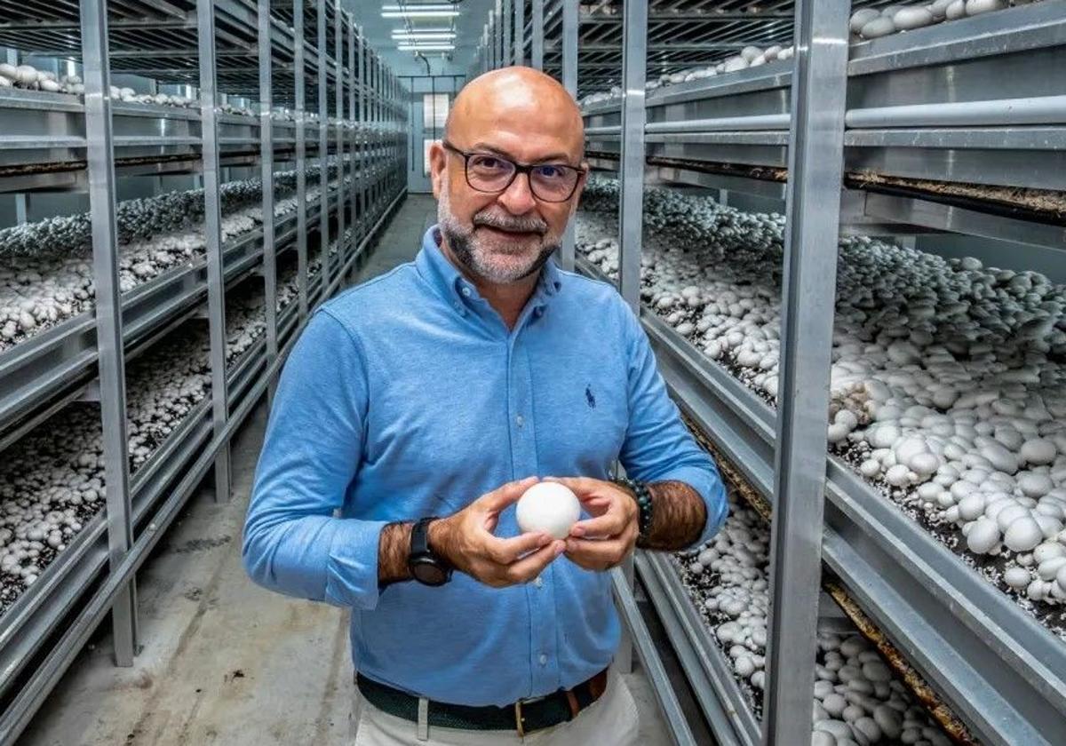 «Eso que se oye de que cuando una puerta se cierra otra se abre no es tan sencillo»