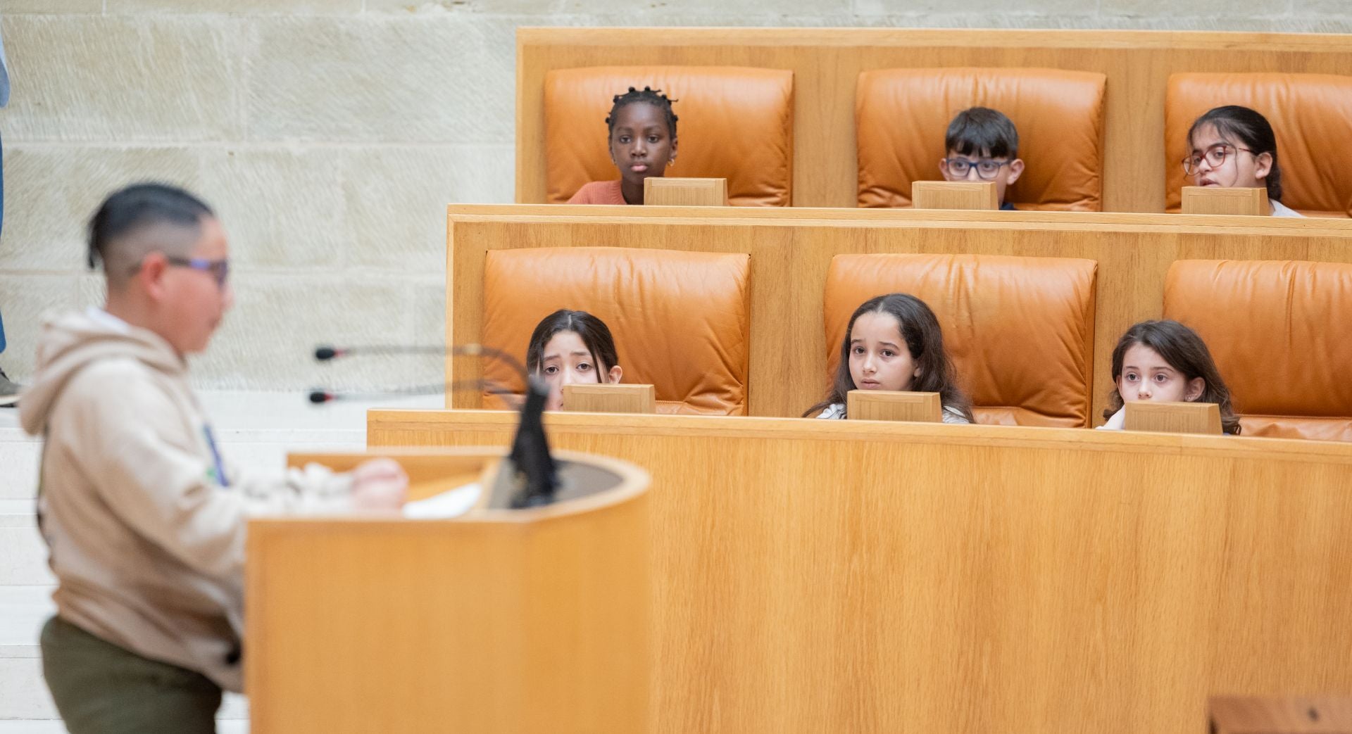Alumnos riojanos se convierten en diputados por un día