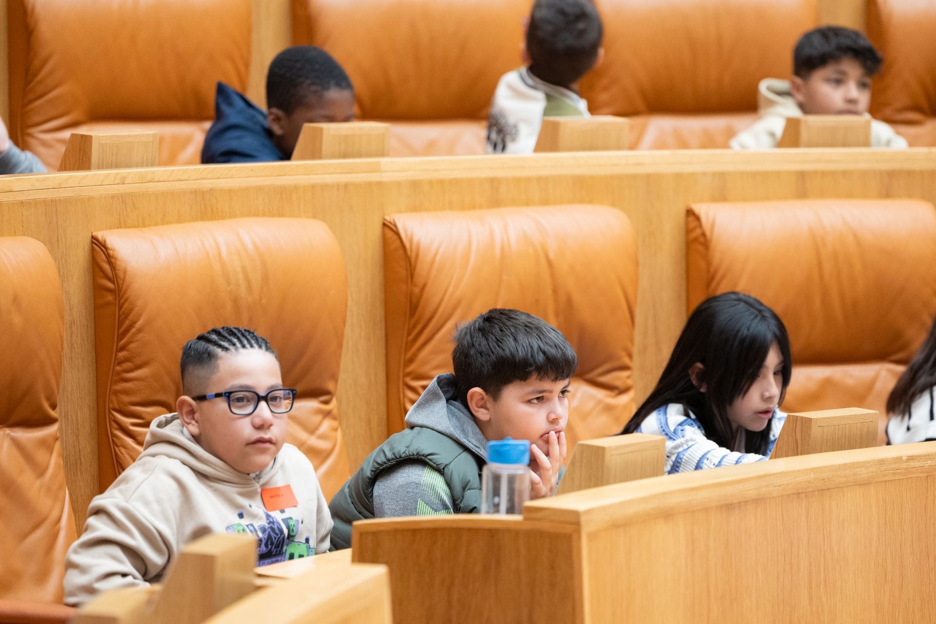 Alumnos riojanos se convierten en diputados por un día