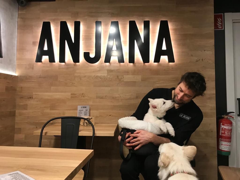 Bares de La Rioja con 'Soletes' que admiten perros