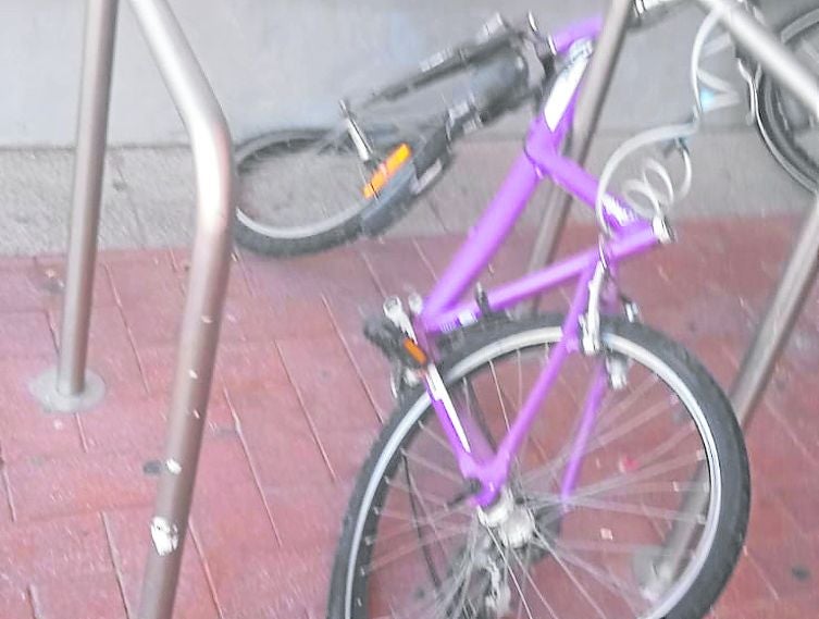 El Teléfono del Lector