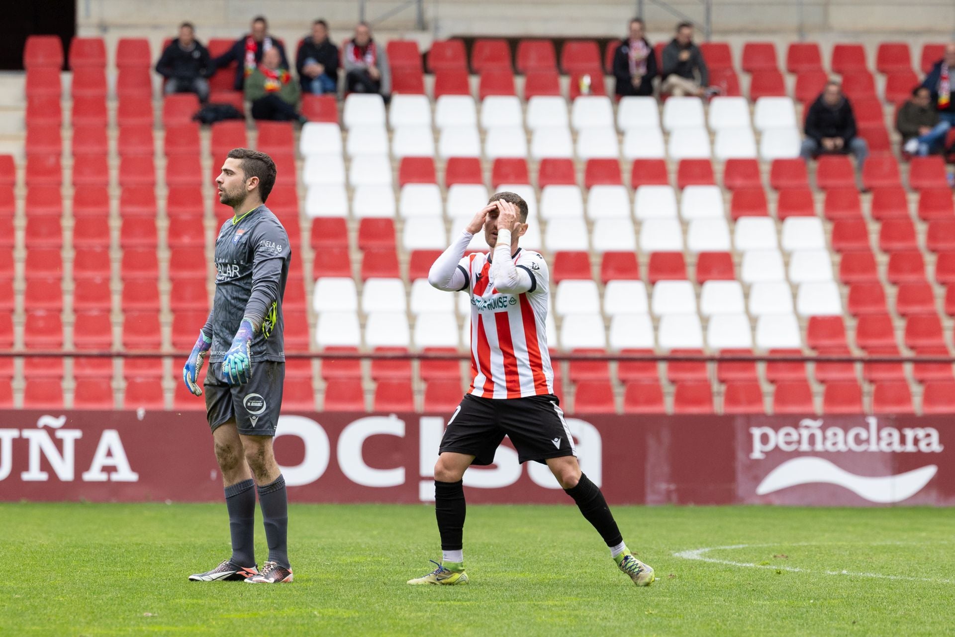 La victoria de la UD Logroñés, en imágenes