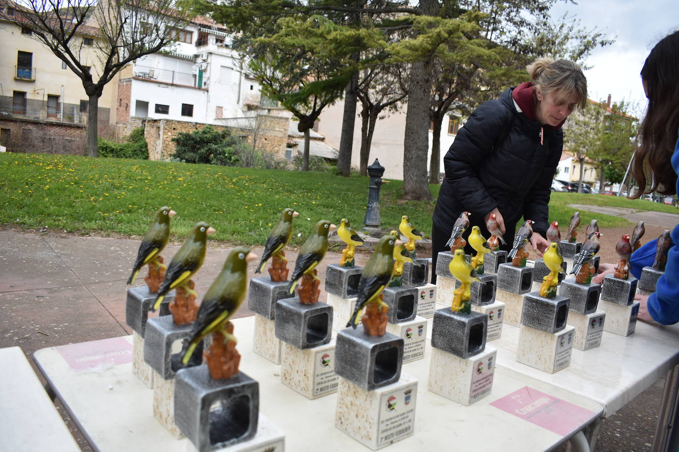 Las imágenes del concurso de canto de pájaros silvestres de Cervera