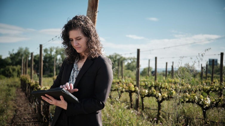 La doctora Inés Hernández Casado, analizando parámetros en el viñedo experimental de la UR.