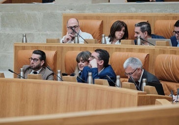 El Parlamento reclama al Ministerio que vuelva a poner los trenes eliminados el 11 de abril