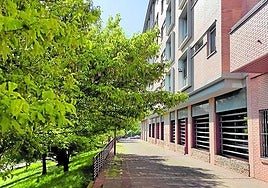 Ramas que invaden la acera «con las que te puedes golpear», hoy en el La Guindilla.