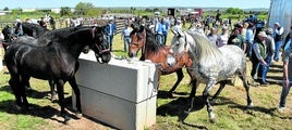 Caballos y público en el gran ferial del gandado equino de Rincón de Soto, ayer en la explanada de la plaza de toros portátil.