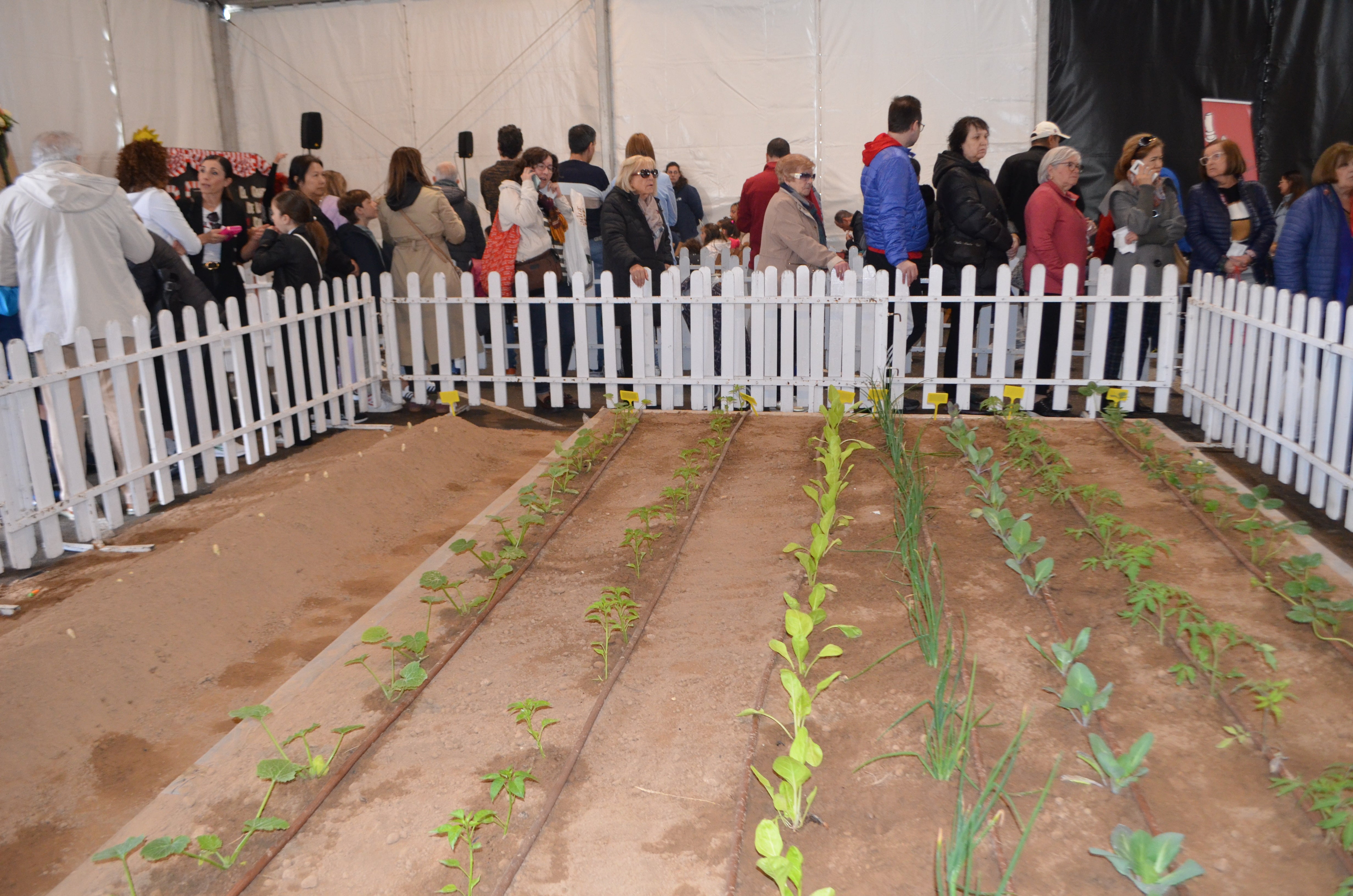 La mejor cara de las Jornadas Gastronómicas de la Verdura en la carpa del Silo