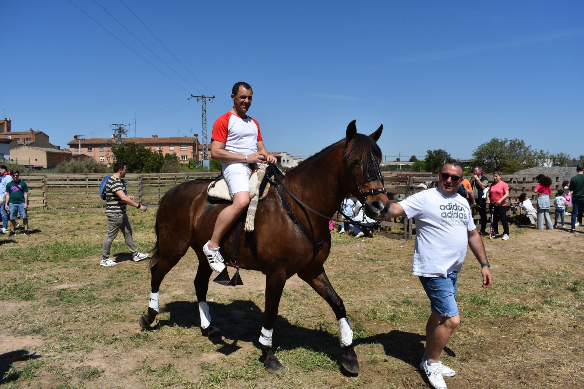 Los caballos protagonizan una mañana de ferias en Rincón de Soto