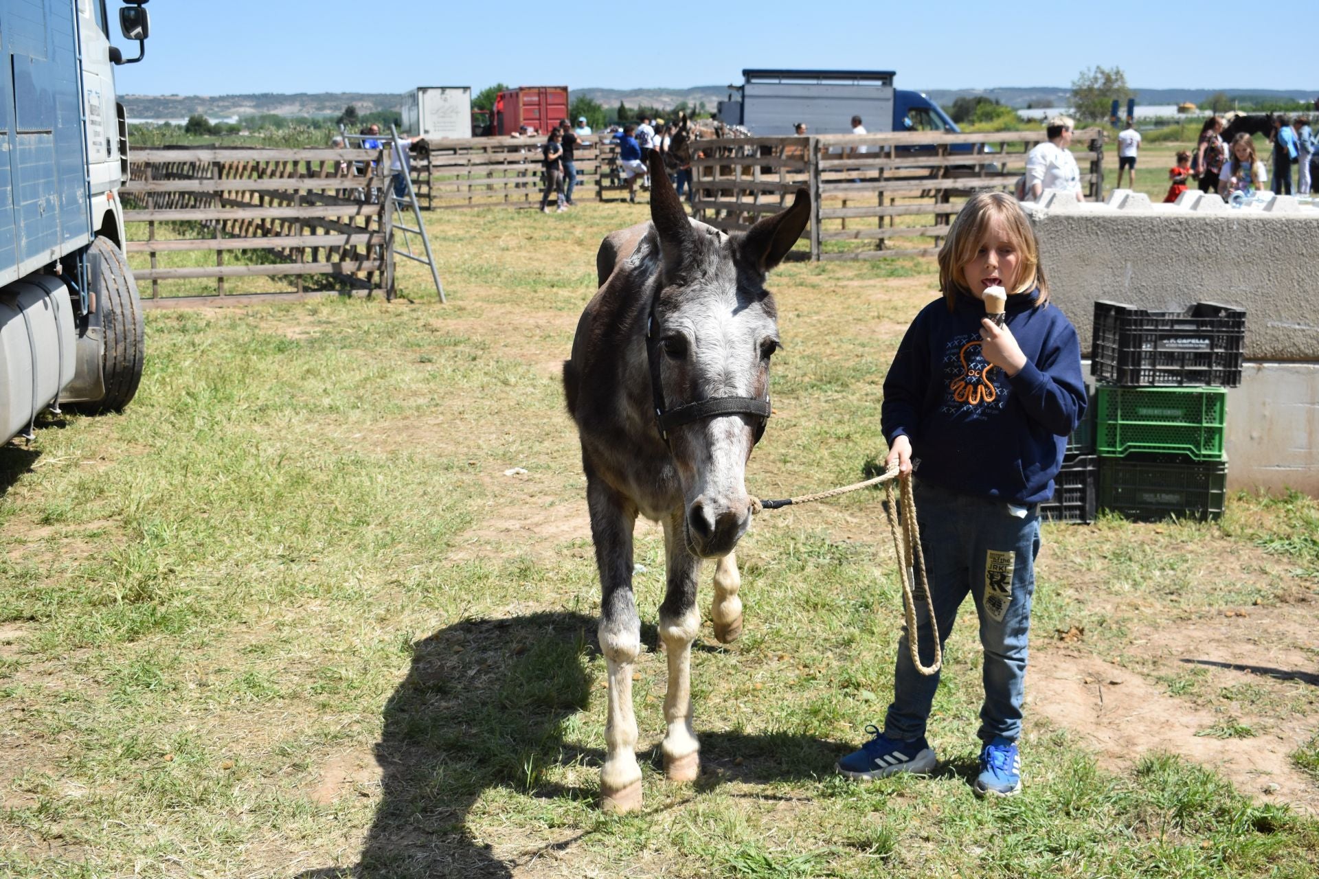 Los caballos protagonizan una mañana de ferias en Rincón de Soto