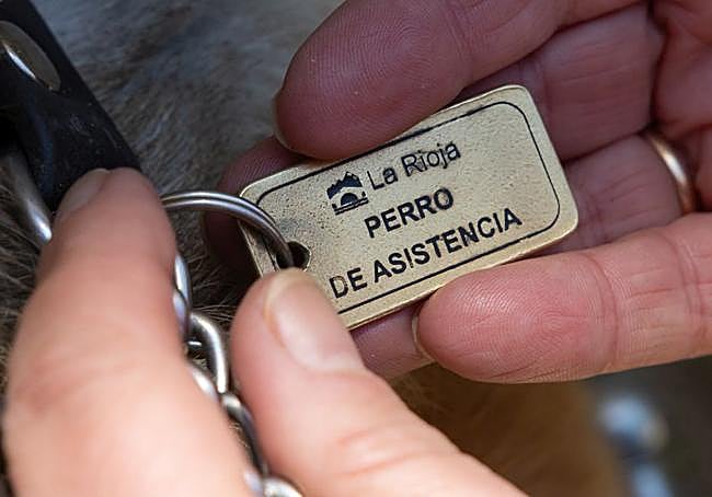 Plaza identificativa de «perro de asistencia» por parte del Gobierno de La Rioja.