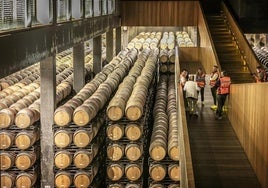 Nave de barricas de Bodegas Campo Viejo