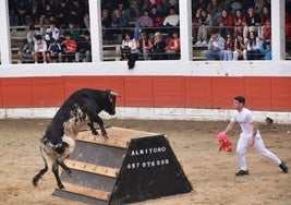 Evento con obstáculos en la plaza de toros de Aldenueva, ayer.