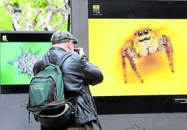 Fotografía de Naturaleza en el Espolón