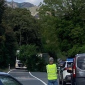 Restablecida la circulación en la N-111, tras un corte de una hora por la caída de un árbol en Viguera