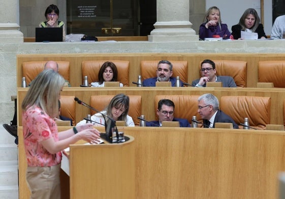 Sesión plenaria en el Parlamento, este jueves.