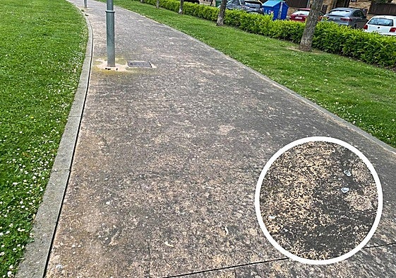 El Teléfono del Lector