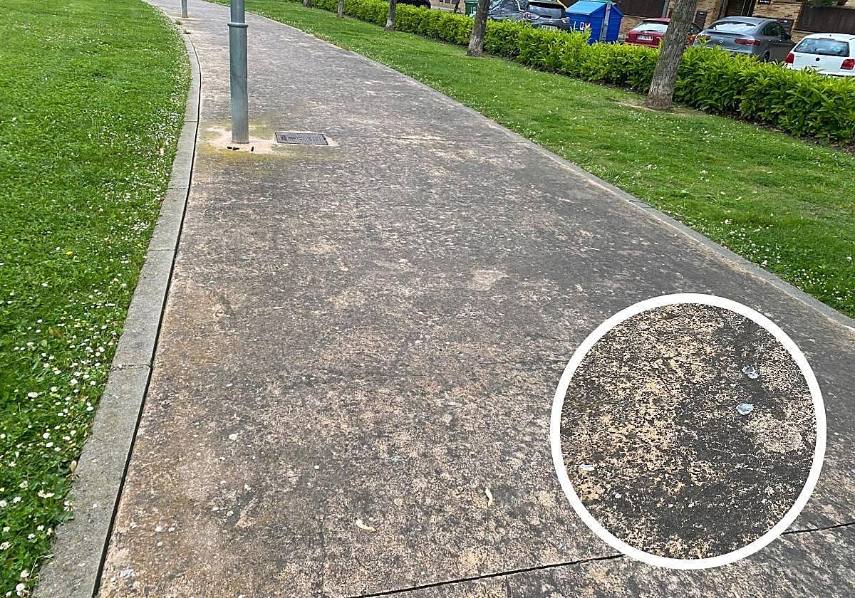 El Teléfono del Lector