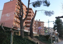 Árboles con ramas caídas.