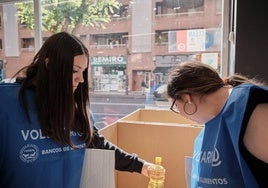 Voluntarios del Banco de Alimentos de La Rioja en la última recogida.