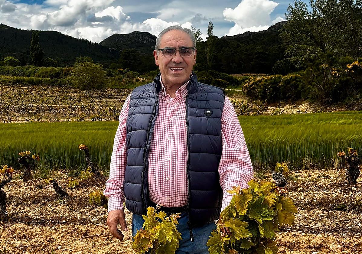 José Javier Angulo posaba ayer junto a sus cepas.