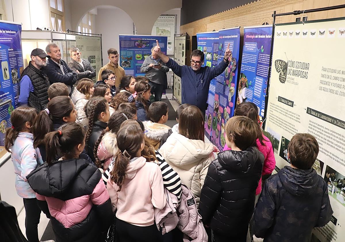 El museo acogió ya en noviembre una exposición sobre mariposas.