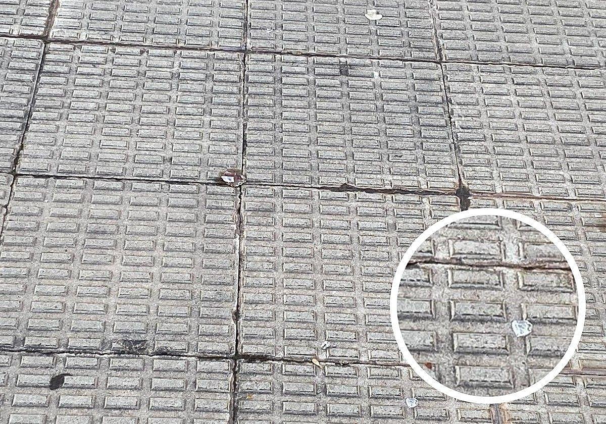 El Teléfono del Lector de hoy