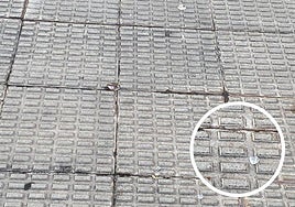 El Teléfono del Lector de hoy