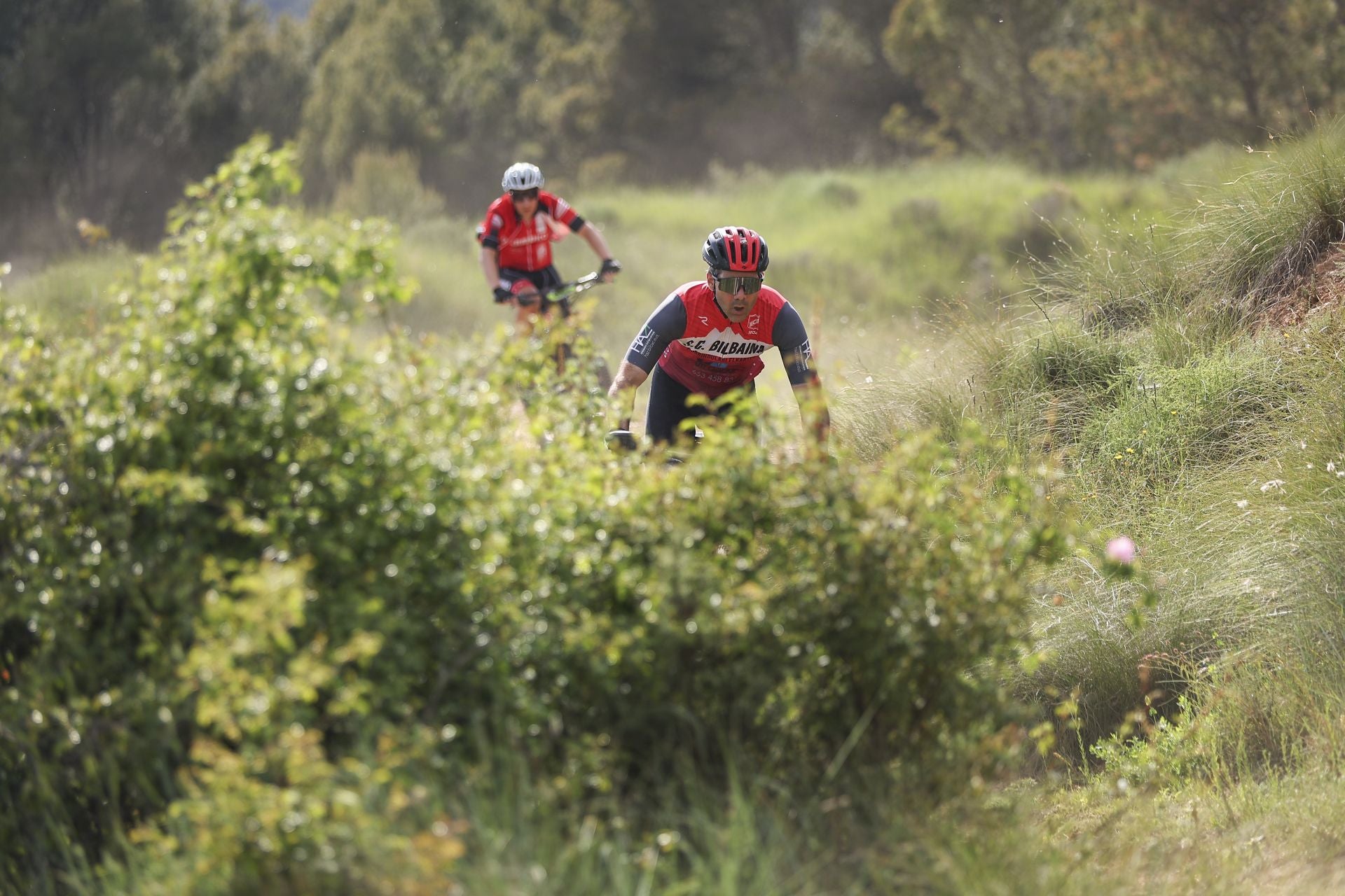 Las imágenes de La Rioja Bike Race