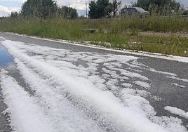 Las fincas afectadas por el granizo del martes sufren daños de hasta el 80%