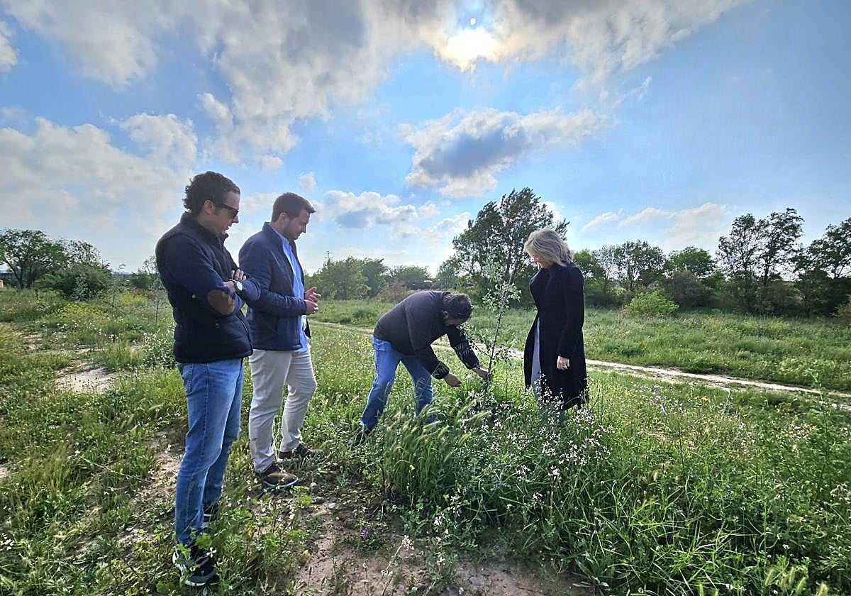 Miguel Legarre, David Navarro, Mónica Arceiz y Miguel Ángel Baldero en una de las parcelas donde se han plantado especies autóctonas.