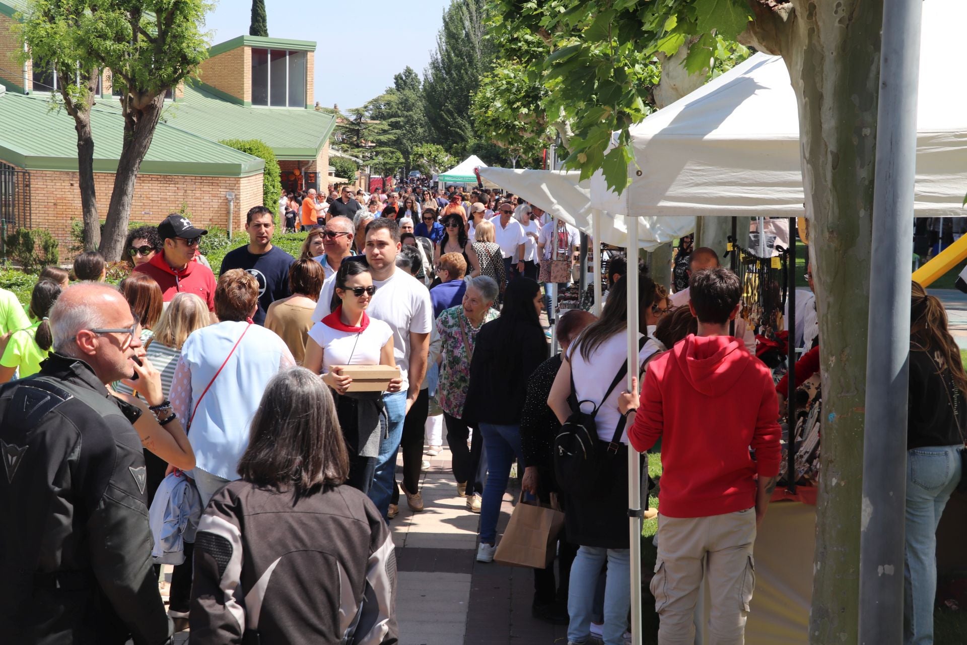 Las fiestas de San Isidro en Alfaro llegan a su fin