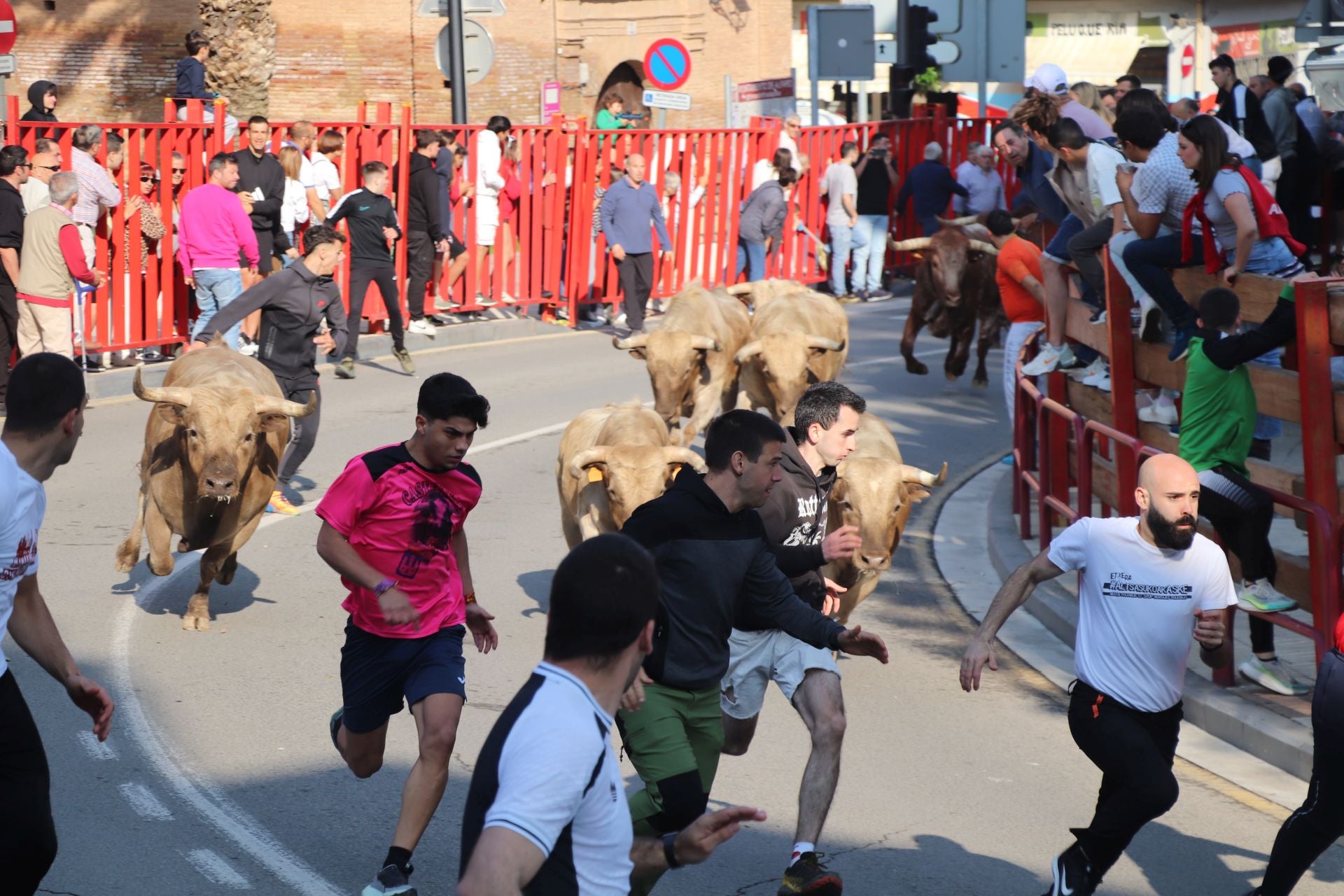Las fiestas de San Isidro en Alfaro llegan a su fin