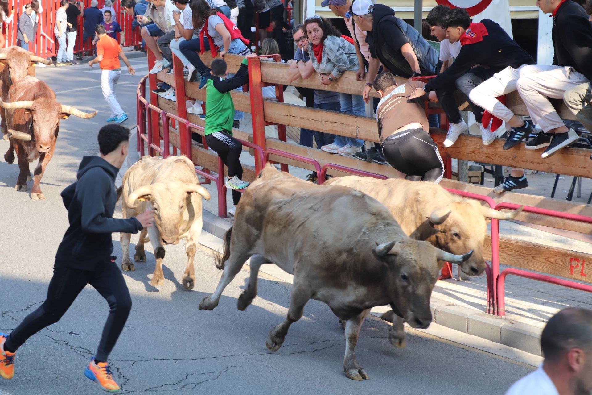 Las fiestas de San Isidro en Alfaro llegan a su fin