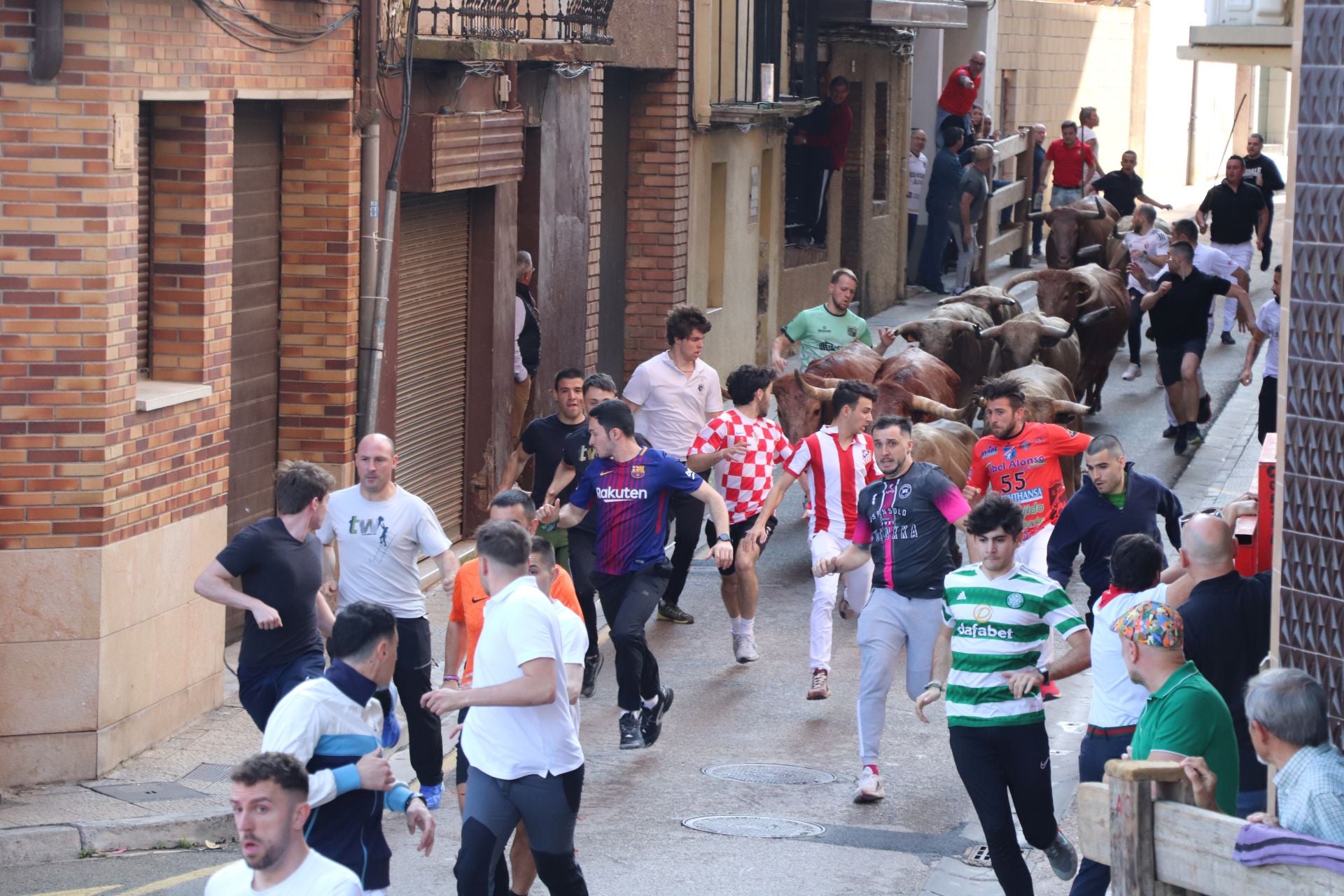 Las fiestas de San Isidro en Alfaro llegan a su fin