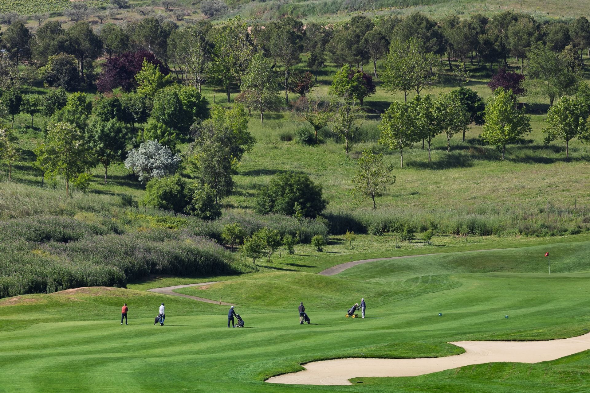 Las imágenes de juego del Torneo Bodegas Perica