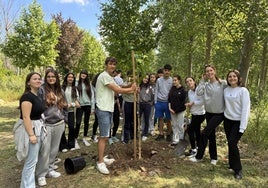 Alumnos de cuarto de la ESO, durante la plantación en Anguciana.