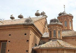 Otras noticias de Calahorra, Arnedo, Alfaro, Santo Domingo y Haro